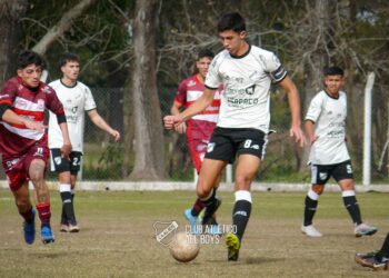Parda para la Tercera